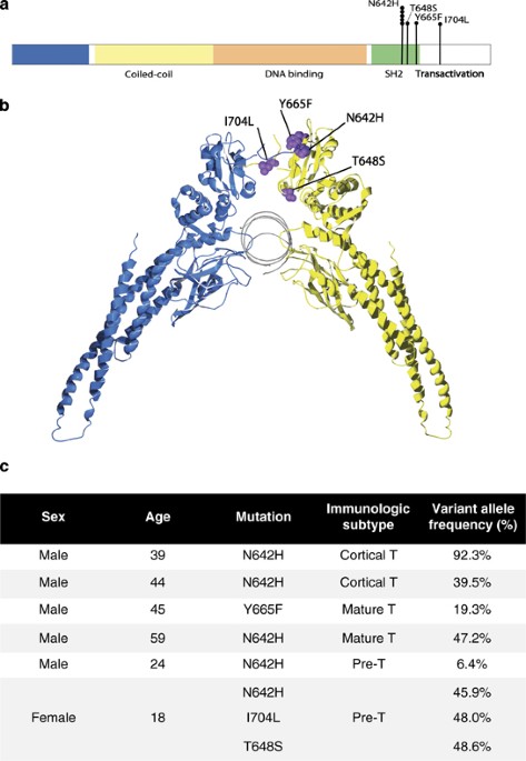 Novel activating STAT5B mutations as putative drivers of T-cell acute lymphoblastic leukemia