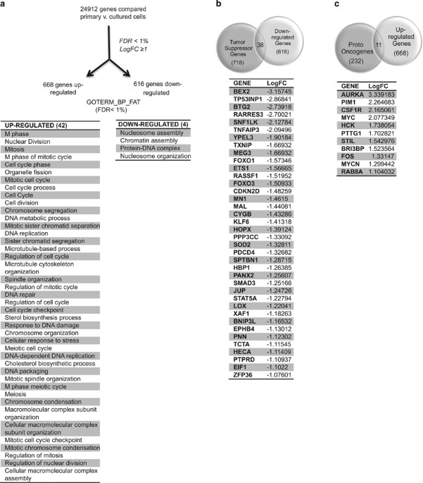 Notch-mediated expansion of cord blood progenitors: maintenance of transcriptional and epigenetic fidelity