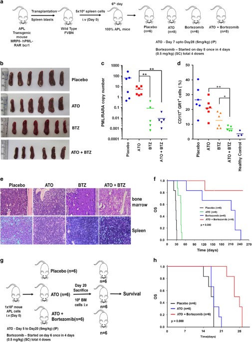 Rationale and efficacy of proteasome inhibitor combined with arsenic ...