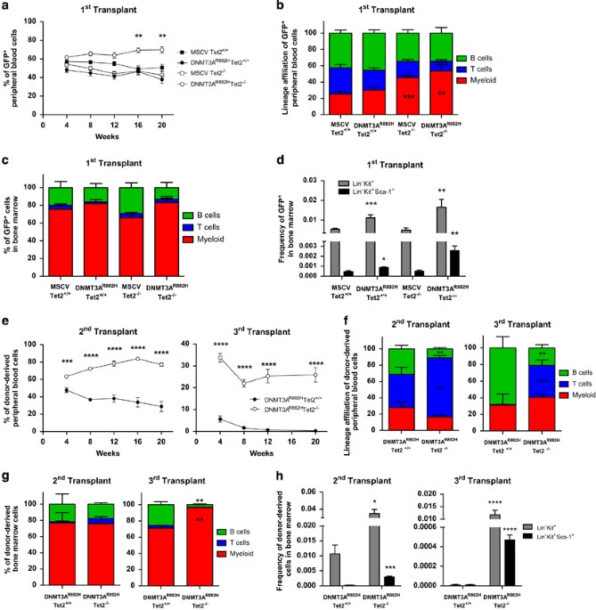 dnmt3a r882h mutant and tet2