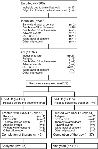 acute lymphoblastic leukemia 