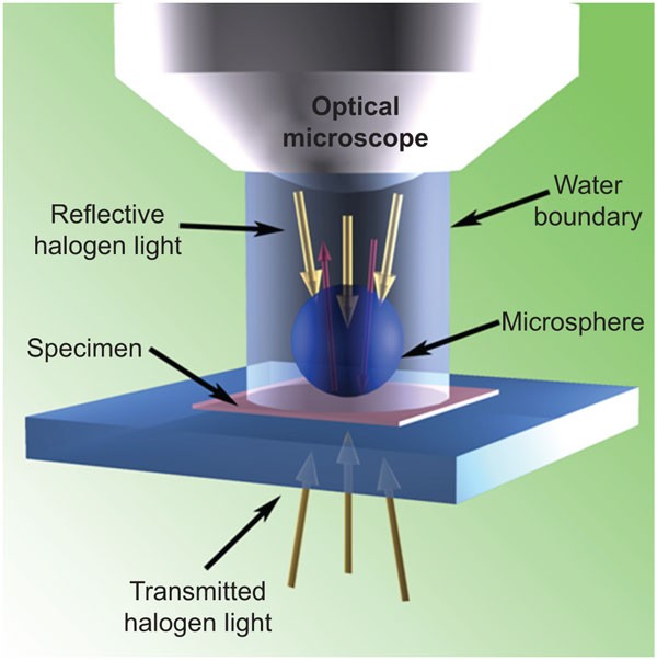 Label-free super-resolution imaging of adenoviruses by submerged microsphere optical nanoscopy