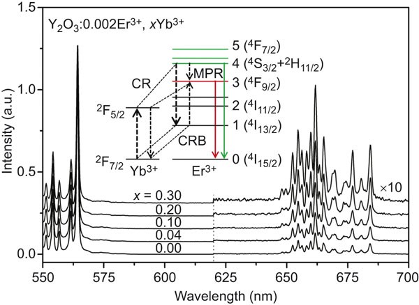 Observation of efficient population of the red-emitting state from the green state by non-multiphonon relaxation in the er3+–yb3+ system