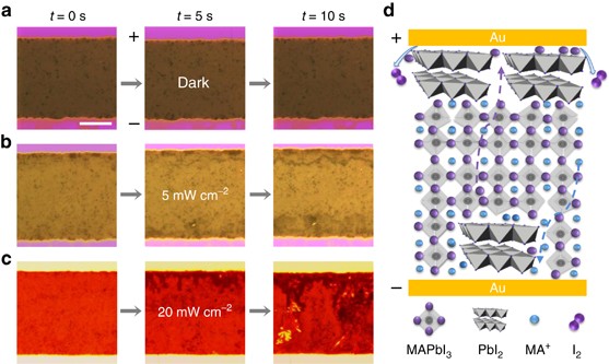 Quantification of light-enhanced ionic transport in lead iodide perovskite thin films and its solar cell applications