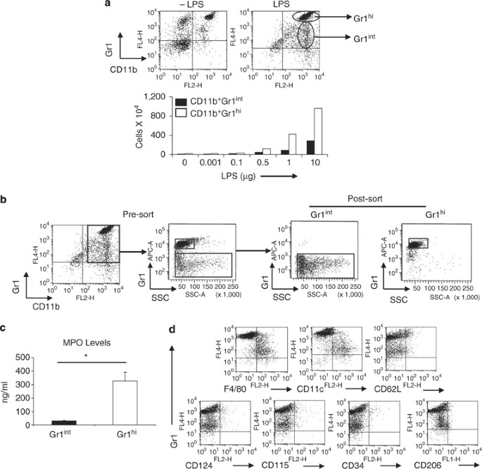 Tlr4/myd88-induced cd11b+gr-1intf4/80+ non-migratory myeloid cells suppress th2 effector function in the lung