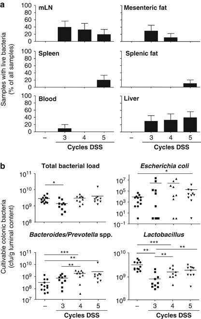 Mesenteric fat—control site for bacterial translocation in colitis?