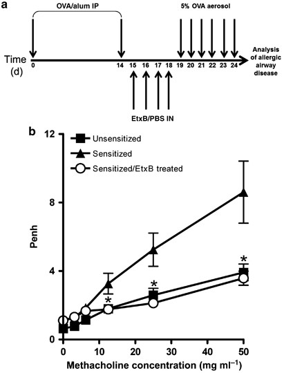 The escherichia coli heat-labile enterotoxin b subunit protects from allergic airway disease development by inducing cd4+ regulatory t cells