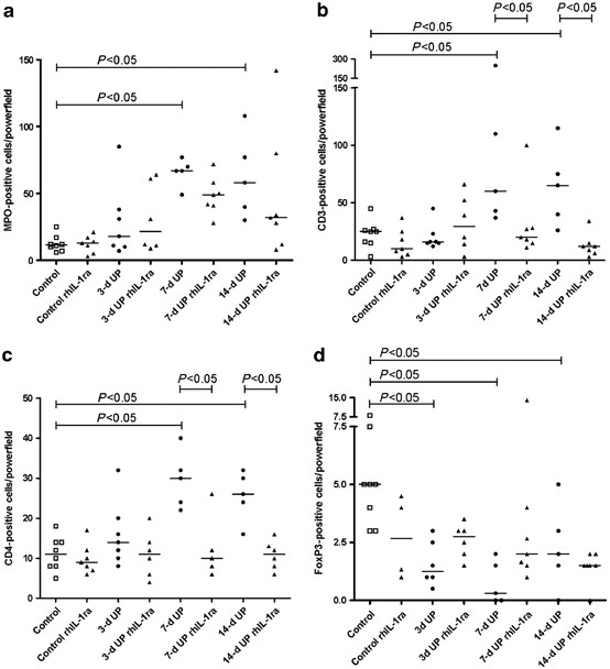 Antenatal ureaplasma infection impairs development of the fetal ovine gut in an il-1-dependent manner