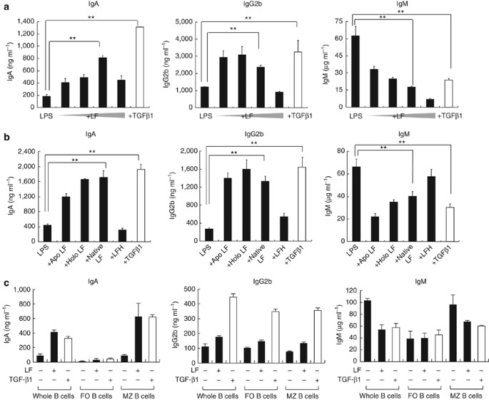 Lactoferrin causes IgA and IgG2b isotype switching through betaglycan  binding and activation of canonical TGF-β signaling | Mucosal Immunology
