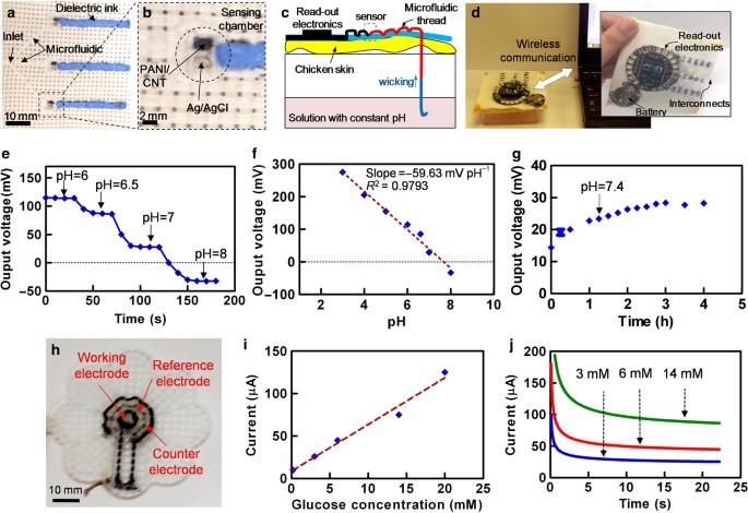 A versatile microfluidic device for multiple ex vivo/in vitro tissue assays  unrestrained from tissue topography