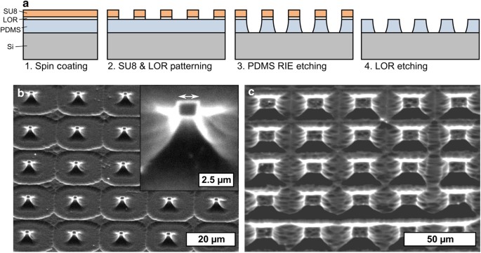 SU8 etch mask for patterning PDMS and its application to flexible fluidic  microactuators | Microsystems & Nanoengineering