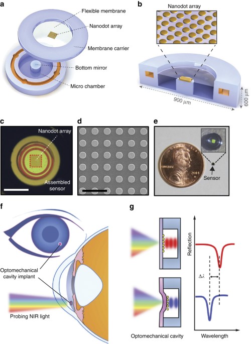 A microscale optical implant for continuous in vivo monitoring of