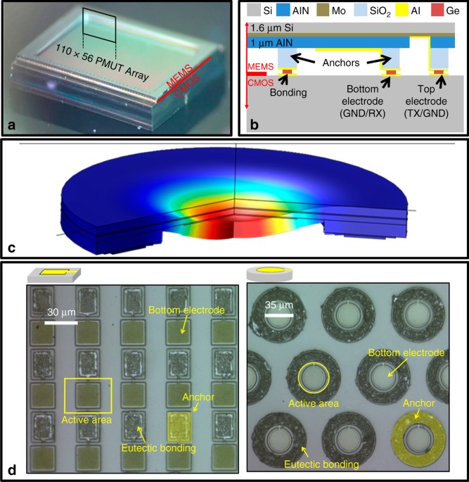 Monolithic Ultrasound Fingerprint Sensor Microsystems Nanoengineering