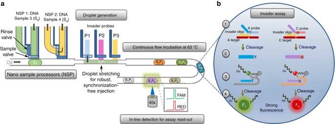 programmable microfluidic genotyping of