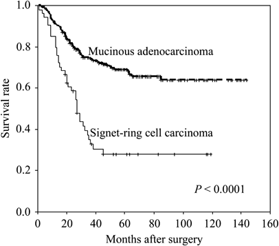 Cancers | Free Full-Text | Epidemiology of Signet Ring Cell Adenocarcinomas