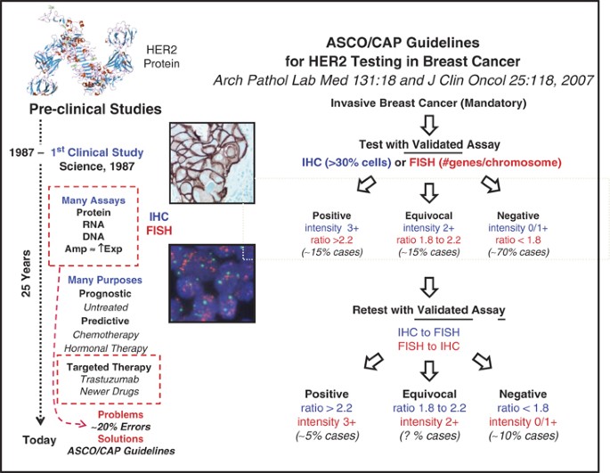 Issues and updates: evaluating estrogen receptor-α, progesterone receptor,  and HER2 in breast cancer | Modern Pathology