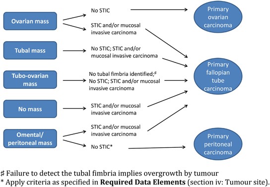 peritoneal cancer treatment guidelines)