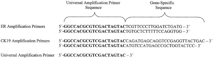 Assessing the Expression of Two Genes Simultaneously in Surgical Specimens  Using Polymerase Chain Reaction | Modern Pathology