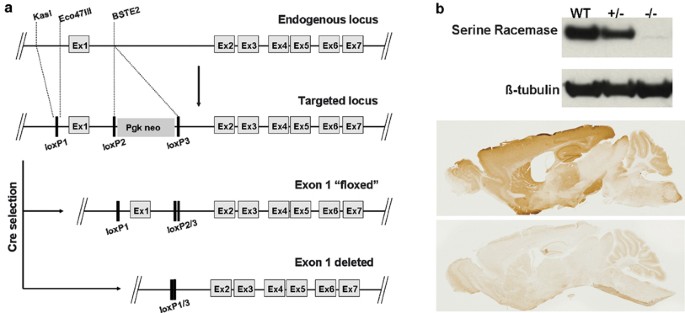 feature-image