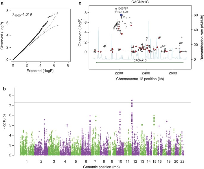 Meta-analysis of genome-wide association data of bipolar disorder and major depressive disorder