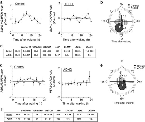 Adult Attention Deficit Hyperactivity Disorder Is Associated With Alterations In Circadian Rhythms At The Behavioural Endocrine And Molecular Levels Molecular Psychiatry