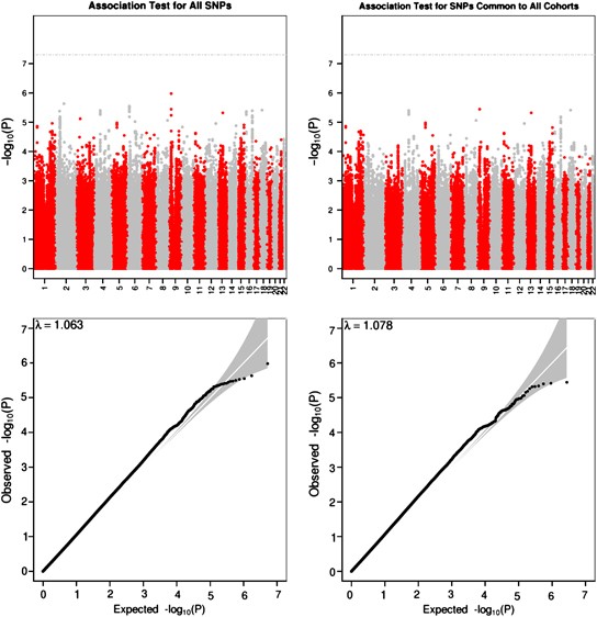 Childhood Intelligence Is Heritable Highly Polygenic And Associated With Fnbp1l Molecular Psychiatry