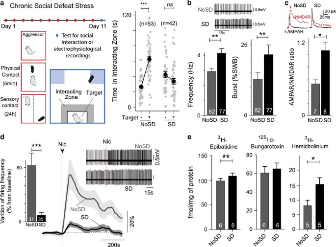 Nicotinic receptors mediate stress-nicotine detrimental interplay via dopamine cells’ activity