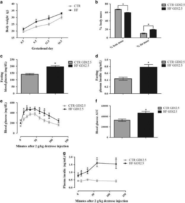Disrupted Immunity In Fetal Brain Is >> Gestational Diabetes Exacerbates Maternal Immune Activation Disrupted Immunity In Fetal Brain Is >> Gestational Diabetes Exacerbates Maternal Immune Activation