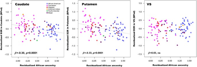 Association of genetic ancestry with striatal dopamine d2/d3 receptor availability