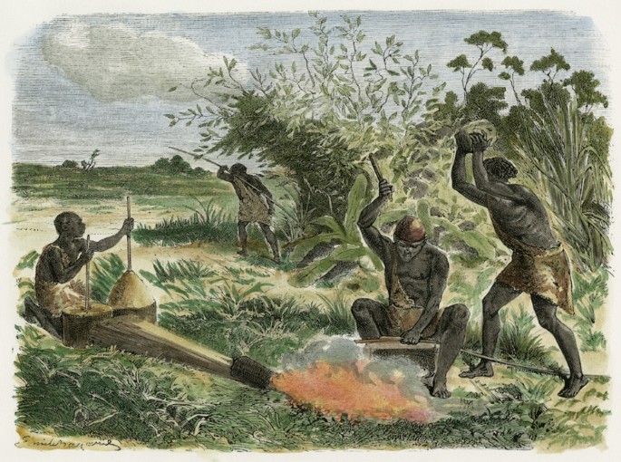 Humans implicated in africa's deforestation