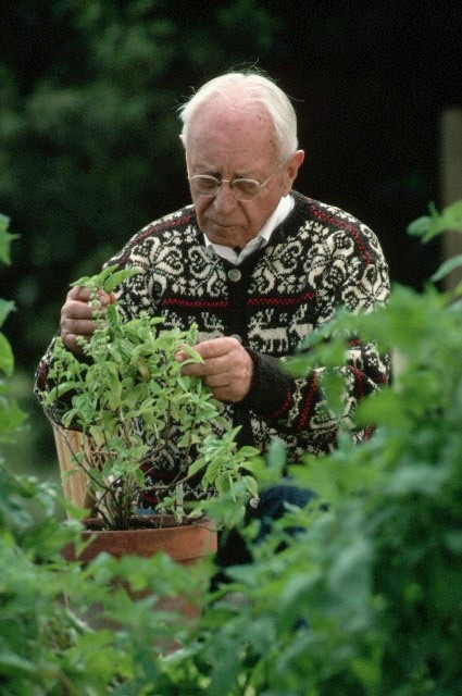 'Old person smell' is real, but not necessarily offensive