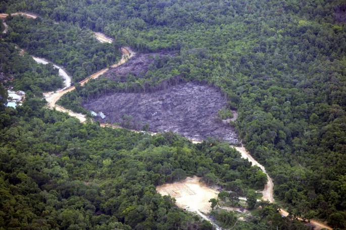 African land grabs hinder sustainable development