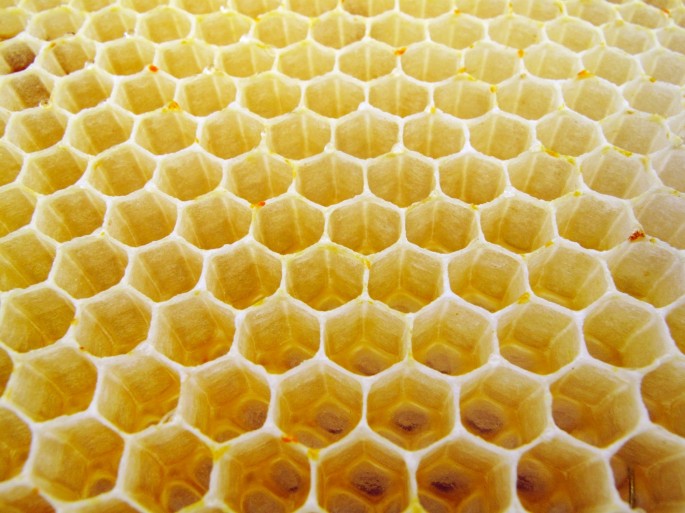 Why Are Honeycomb Cells Hexagonal?