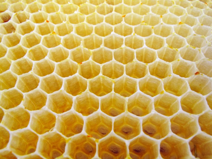 How honeycombs can build themselves