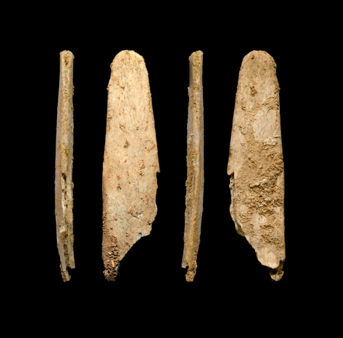 Neanderthals made leather-working tools like those in use today