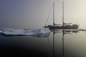 Global ocean trawl reveals plethora of new lifeforms