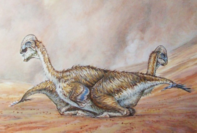 Newly identified Alberta dinosaur had arm muscles fit to lift