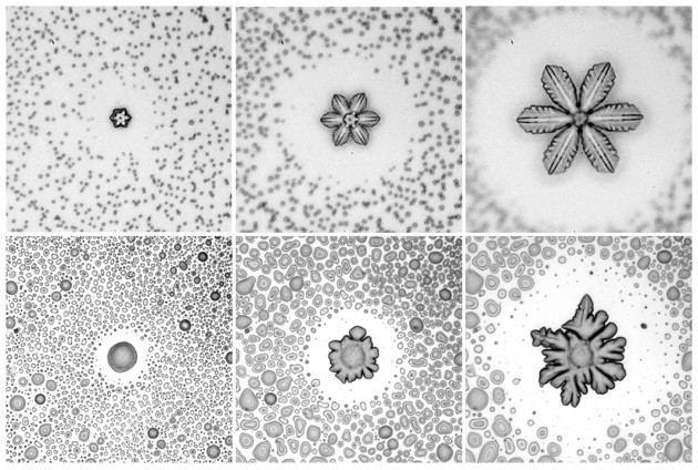 Water-repellent coatings could make de-icing a breeze