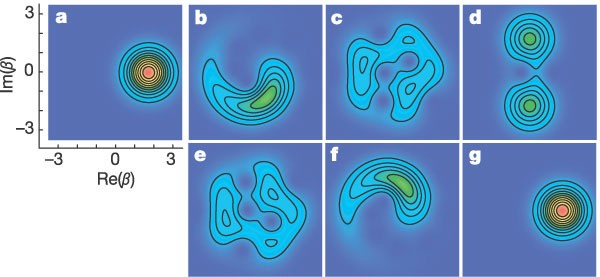 Collapse And Revival Of The Matter Wave Field Of A Bose Einstein Condensate Nature