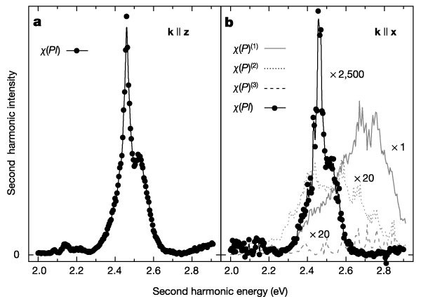 Observation Of Coupled Magnetic And Electric Domains Nature