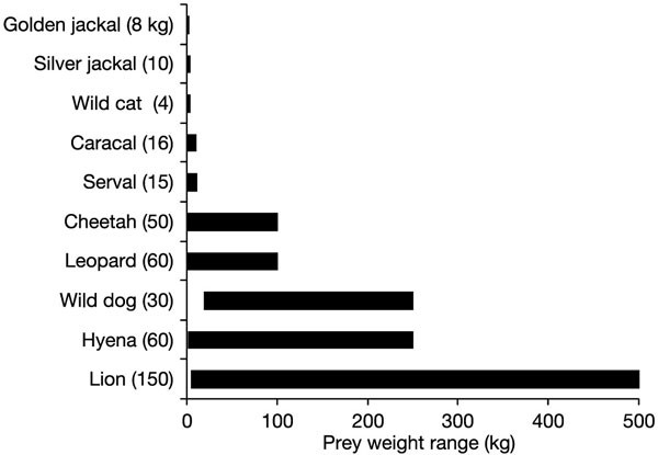 Patterns Of Predation In A Diverse Predator Prey System Nature