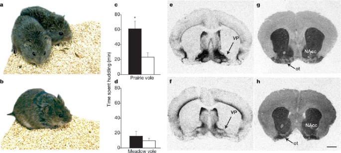 Sba Digital Publication Town Square Publications
