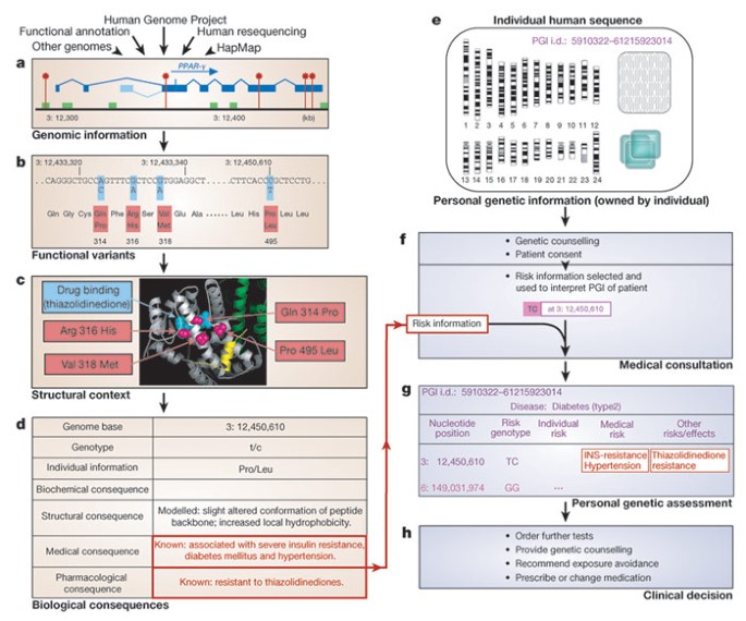 Genomes for medicine | Nature
