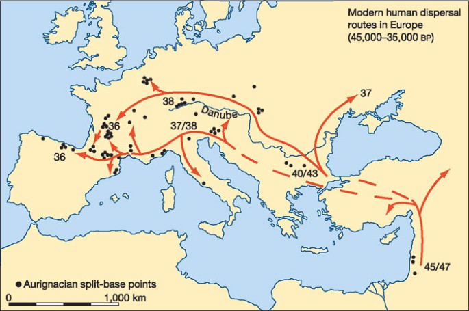 Neanderthals And The Modern Human Colonization Of Europe Nature Neanderthals And The Modern Human Colonization Of Europe Nature