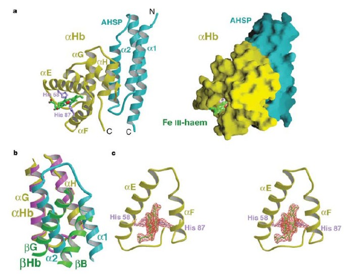 fax pebermynte Byttehandel Structure of oxidized α-haemoglobin bound to AHSP reveals a protective  mechanism for haem | Nature