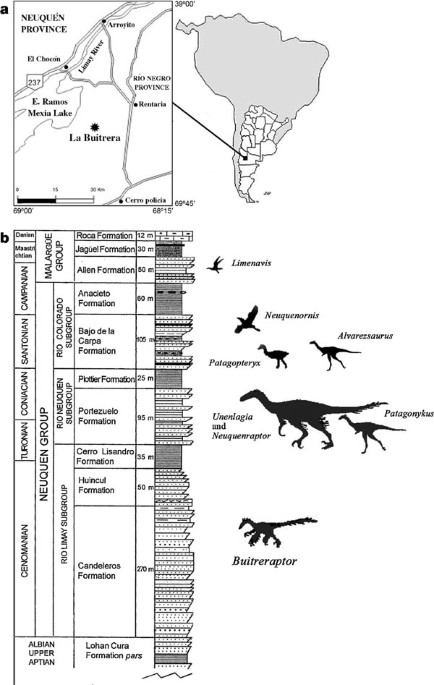 The earliest dromaeosaurid theropod from south america