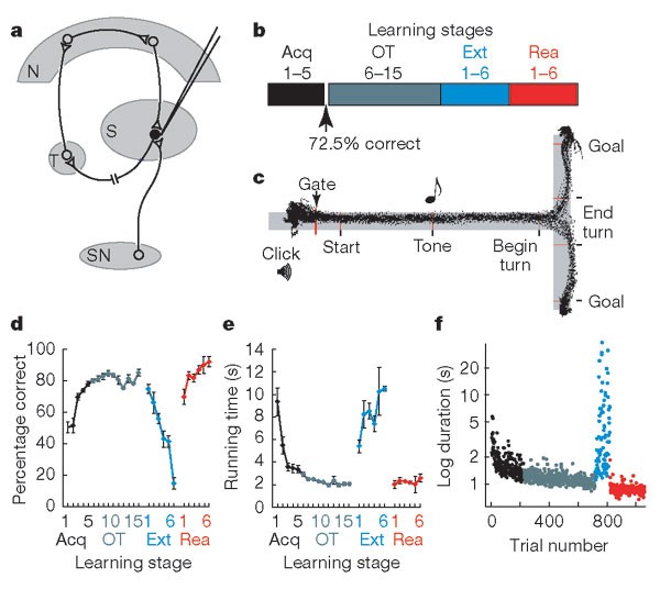 Activity of striatal neurons reflects dynamic encoding and recoding of procedural memories