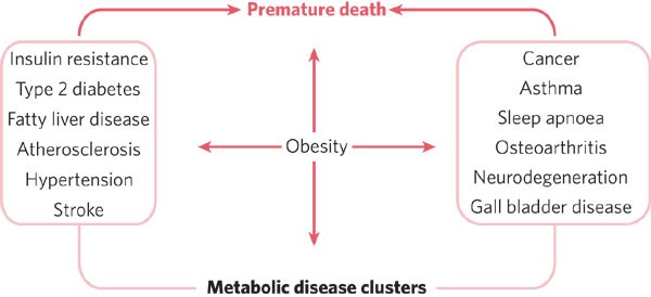 journal of diabetes and metabolic disorders impact factor