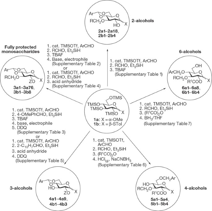 Regioselective One Pot Protection Of Carbohydrates Nature Regioselective One Pot Protection Of Carbohydrates Nature