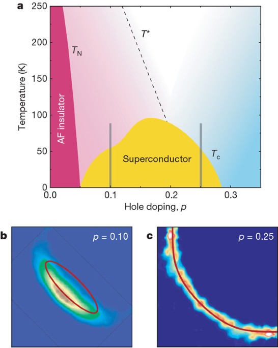 Quantum oscillations and the Fermi surface in an underdoped high-Tc  superconductor | Nature